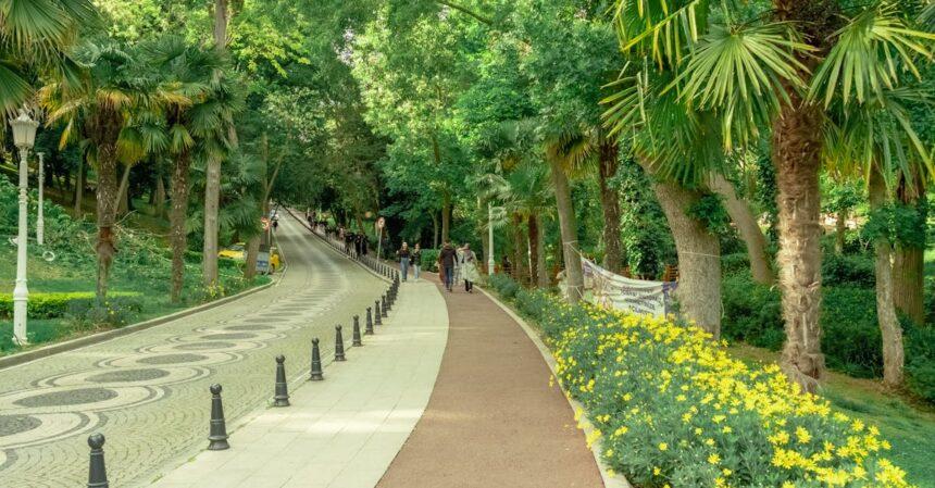 découvrez le parc gülhane, un havre de paix situé au cœur d'istanbul. avec ses magnifiques jardins, ses sentiers ombragés et ses vues imprenables sur le bosphore, c'est l'endroit idéal pour se détendre, se promener et apprécier la nature tout en explorant l'histoire riche de la ville.