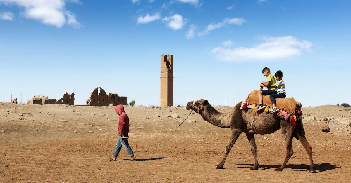découvrez harran, une ville historique de turquie, célèbre pour ses maisons en forme de cône et son riche patrimoine culturel. explorez ses ruines anciennes, ses traditions vivantes et l'accueil chaleureux de ses habitants.