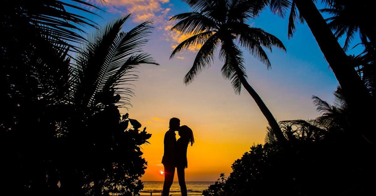 découvrez des destinations de rêve pour votre lune de miel, des plages de sable blanc aux villes romantiques. planifiez votre voyage de noces parfait avec des conseils sur les meilleures activités, hébergements et moments inoubliables à vivre ensemble.