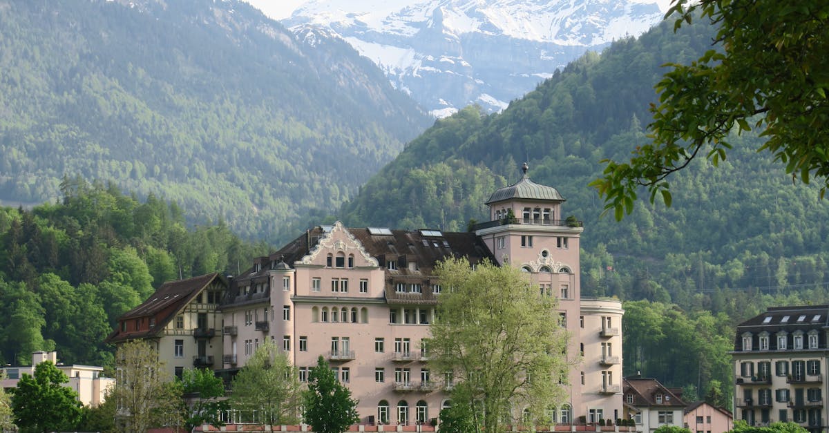 découvrez notre guide complet des hôtels pour trouver l'hébergement parfait selon vos besoins. que vous recherchiez un hôtel de luxe, un boutique hôtel ou un hébergement économique, explorez nos recommandations et conseils pour un séjour inoubliable.