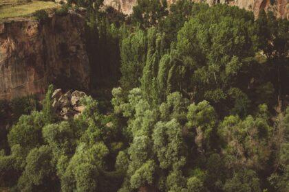 découvrez la vallée d'ihlara, un trésor naturel en turquie, célèbre pour ses paysages époustouflants, ses formations rocheuses uniques et ses églises historiques creusées dans la falaise. parfait pour les randonneurs et les passionnés d'histoire, cet endroit pittoresque offre une expérience inoubliable au cœur de la nature.