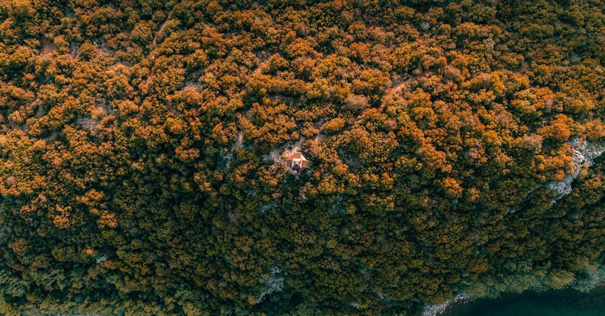 découvrez isparta, la ville turque célèbre pour ses magnifiques paysages de roses, son riche patrimoine culturel et ses attractions historiques. explorez ses charmantes rues, savourez la délicieuse cuisine locale et vivez une expérience inoubliable au cœur de cette destination unique.
