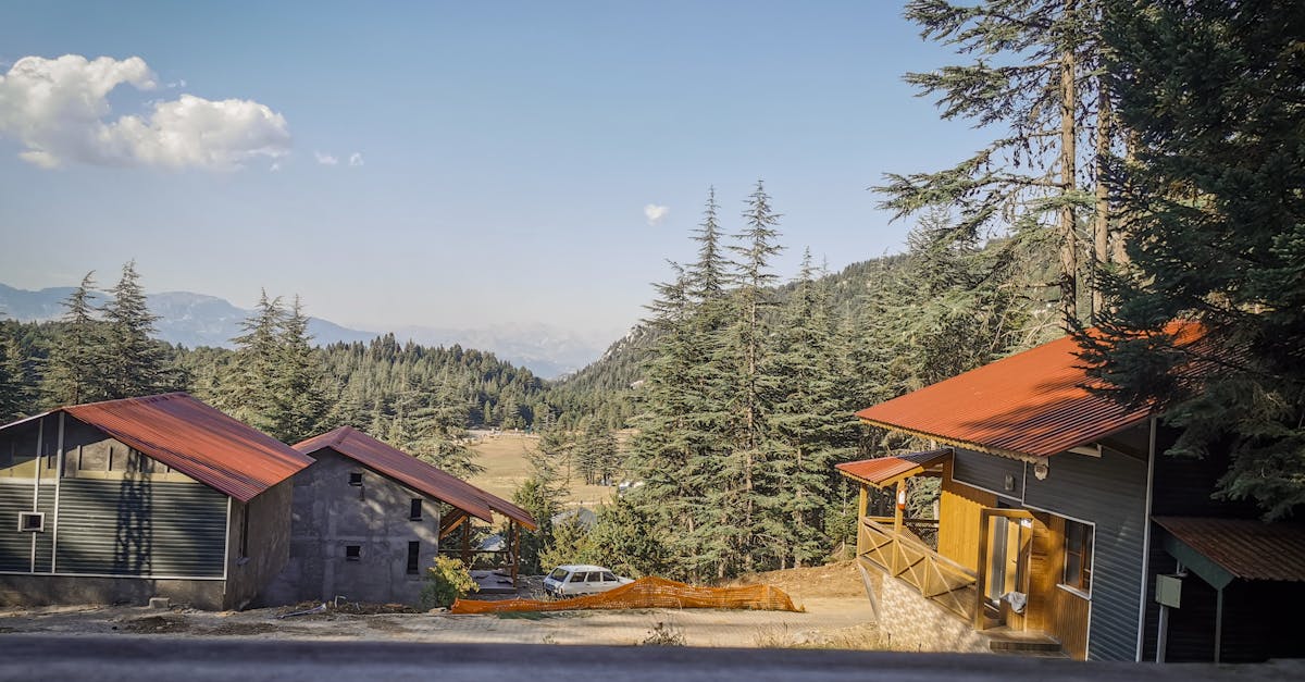 découvrez kahramanmaraş, une ville turque riche en histoire et en culture, célèbre pour son artisanat, sa délicieuse glace et ses paysages à couper le souffle. explorez ses trésors historiques et profitez d'une expérience authentique en plein cœur de la turquie.
