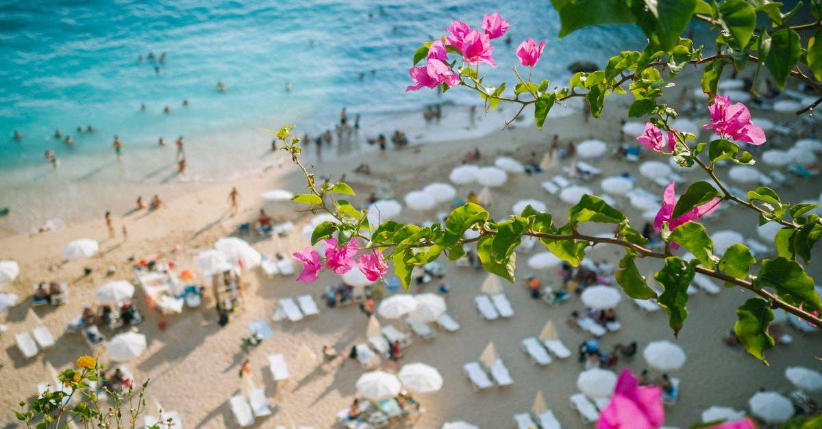 découvrez kalkan, une charmante ville côtière de turquie, réputée pour ses plages ensoleillées, ses eaux cristallines et son ambiance authentique. explorez ses ruelles pittoresques, savourez une délicieuse cuisine locale et profitez de vues imprenables sur la mer méditerranée. kalkan est la destination parfaite pour des vacances inoubliables.