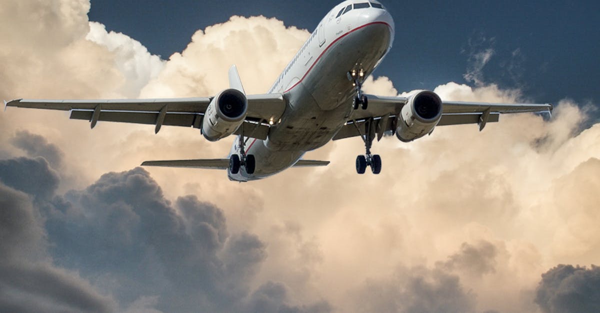 découvrez notre guide sur les compagnies aériennes low-cost, offrant des vols abordables pour tous vos voyages. comparez les meilleures options, trouvez des astuces pour économiser encore plus et partez à la découverte du monde sans vous ruiner.