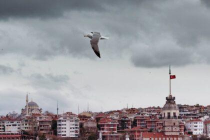 découvrez la tour de la vierge, un symbole emblématique d'istanbul, riche en histoire et en légendes. admirez son architecture unique et profitez d'une vue imprenable sur le bosphore et la ville.