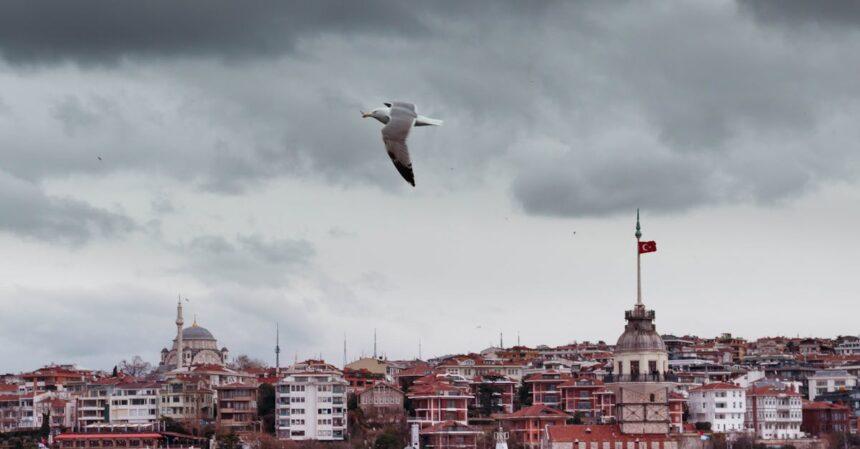 découvrez la tour de la vierge, un symbole emblématique d'istanbul, riche en histoire et en légendes. admirez son architecture unique et profitez d'une vue imprenable sur le bosphore et la ville.
