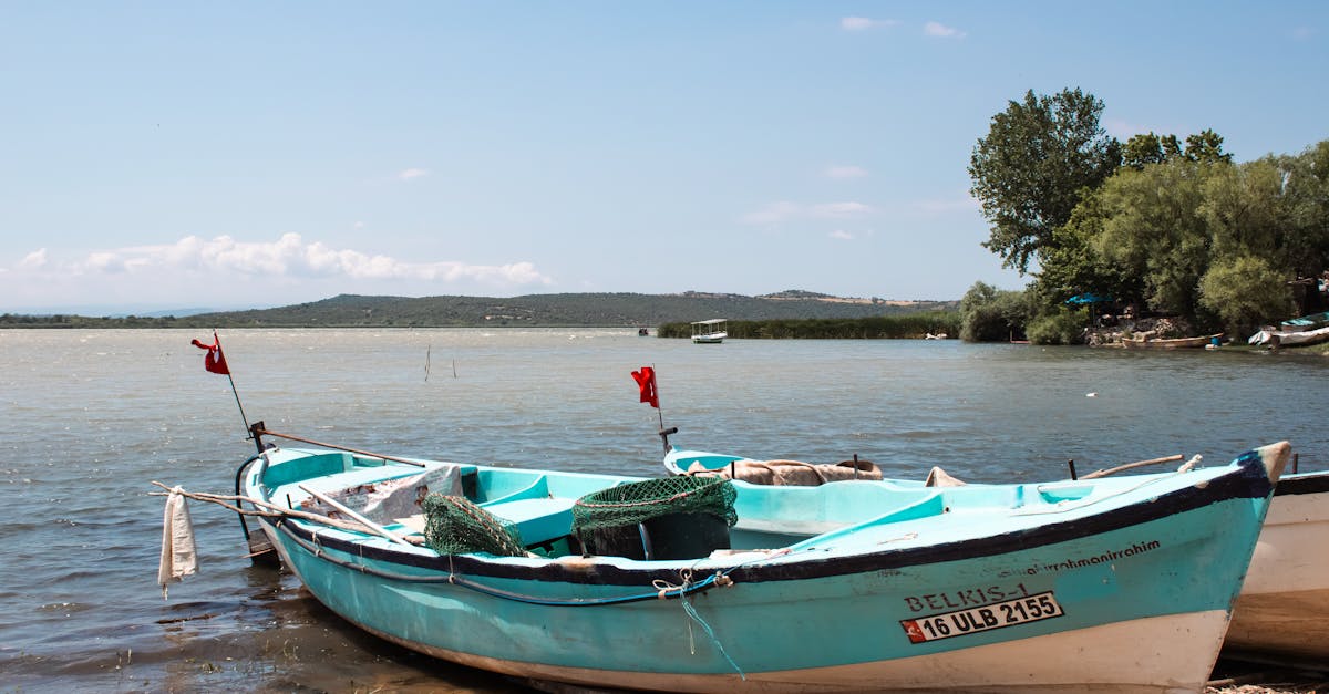 découvrez l'excitation du rafting, une aventure aquatique palpitante qui vous plonge au cœur de la nature. affrontez des rapides en toute sécurité, parfait pour les amateurs de sensations fortes et les familles en quête de fun. rejoignez-nous pour vivre des moments inoubliables sur l'eau!