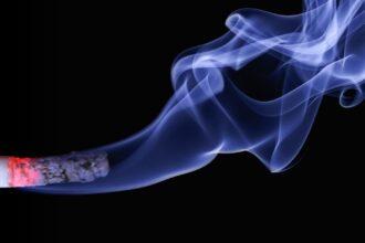 découvrez l'univers du tabac : histoire, variétés, impact sur la santé et législation. informez-vous sur les alternatives et les tendances de consommation responsables.