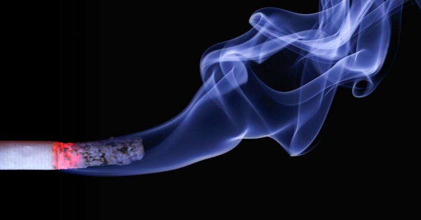 découvrez l'univers du tabac : histoire, variétés, impact sur la santé et législation. informez-vous sur les alternatives et les tendances de consommation responsables.