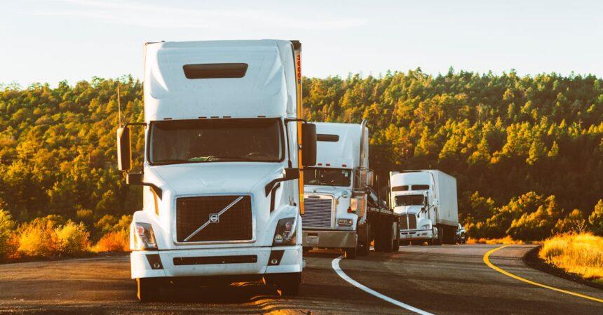 découvrez le monde du transport, ses diverses modes, innovations et leur impact sur notre vie quotidienne. explorez les tendances écologiques et les avancées technologiques qui révolutionnent le secteur.