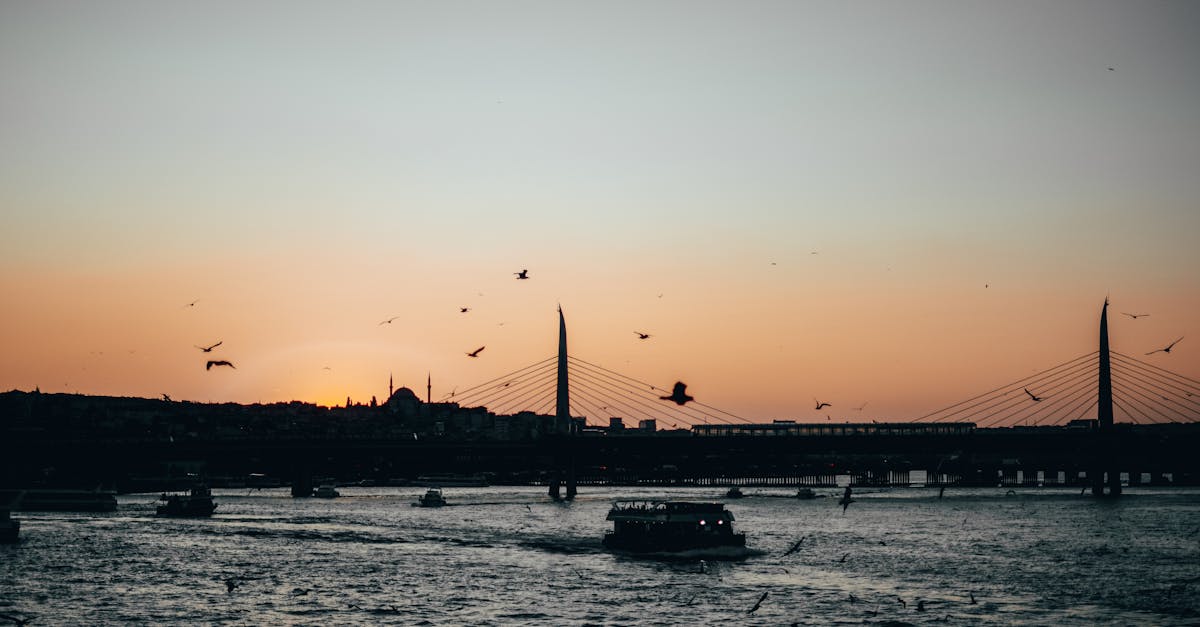 découvrez les magnifiques croisières en turquie, où l'histoire rencontre la beauté naturelle. explorez les côtes turquoise, les îles pittoresques et des sites historiques fascinants à bord de confortables navires de croisière.