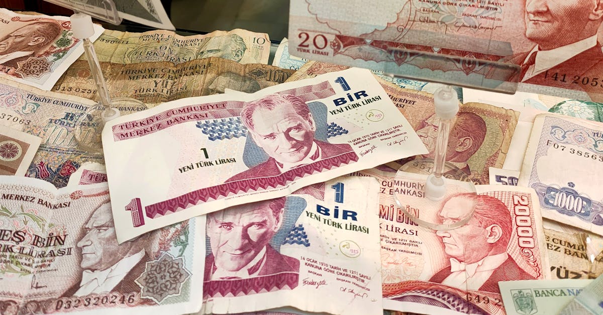 découvrez tout ce qu'il faut savoir sur la livre turque : son histoire, sa valeur actuelle, des conseils pour investir et échanger cette monnaie emblématique de la turquie.