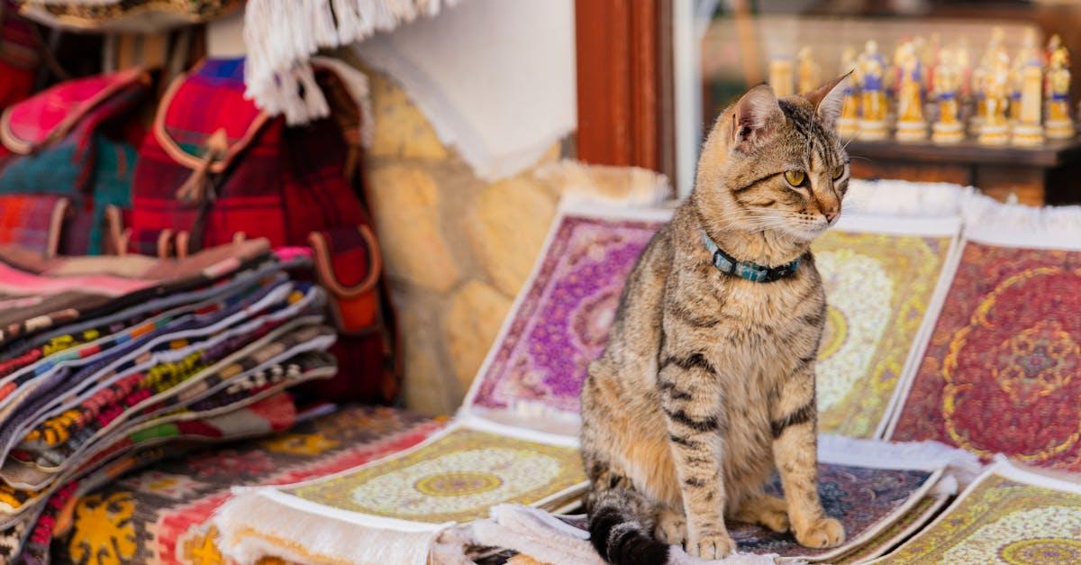 découvrez l'art et l'élégance des tapis turcs. fabriqués à la main avec des motifs uniques et des couleurs éclatantes, nos tapis ajoutent une touche chaleureuse et authentique à votre intérieur. explorez notre collection et transformez votre espace avec ces chefs-d'œuvre artisanaux.