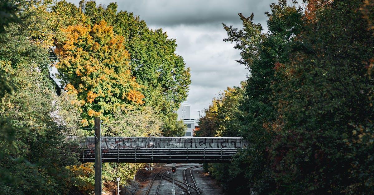 découvrez les chemins de fer d'état turcs, une entreprise essentielle pour le transport ferroviaire en turquie, reliant les grandes villes et offrant des services modernes et efficaces pour les voyageurs. explorez l'histoire, les services et les projets d'expansion de cette institution ferroviaire emblématique.