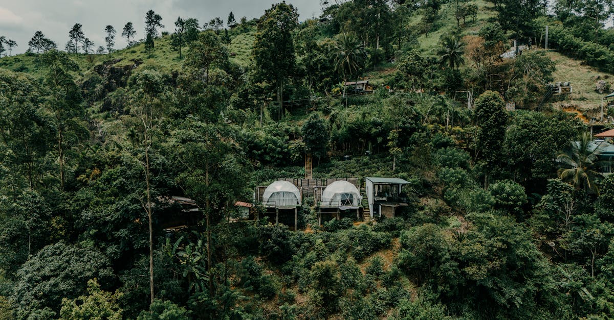 découvrez le tuvana hotel, un oasis de charme situé au cœur de la ville, offrant un hébergement raffiné, un service impeccable et une expérience mémorable. profitez de notre atmosphère unique et de la beauté de notre environnement pour un séjour inoubliable.