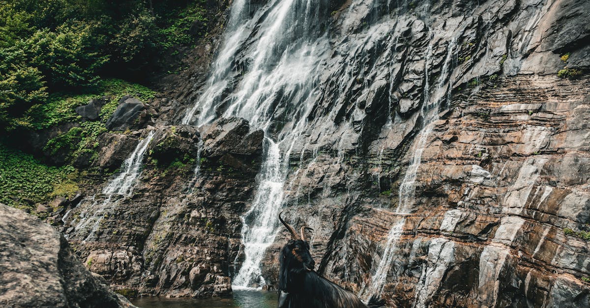 découvrez artvin, une destination pittoresque de turquie, connue pour ses paysages naturels à couper le souffle, ses montagnes majestueuses et sa riche culture. explorez ses traditions, ses activités en plein air et ses spécialités culinaires uniques.