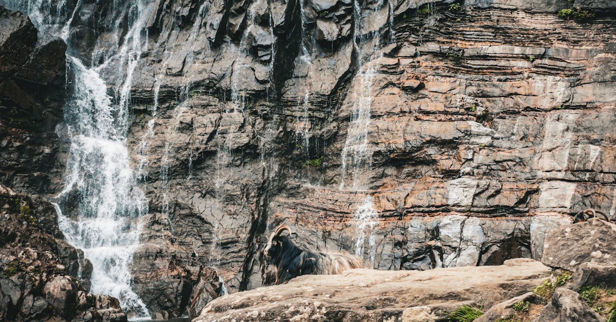 découvrez artvin, une ville pittoresque de turquie, réputée pour ses paysages époustouflants, ses montagnes verdoyantes et sa riche culture. explorez les traditions locales, la gastronomie savoureuse et les activités de plein air qui font d'artvin une destination incontournable pour les amoureux de la nature et les aventuriers.