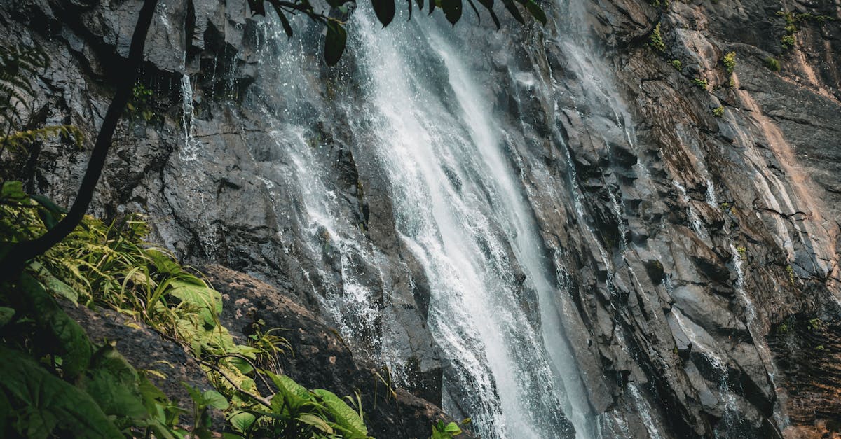 découvrez artvin, une ville pittoresque de turquie, nichée entre montagnes et rivières. explorez ses paysages naturels à couper le souffle, son patrimoine culturel riche et sa délicieuse gastronomie. parfait pour les amateurs de nature et d'aventure, artvin vous promet une expérience inoubliable.