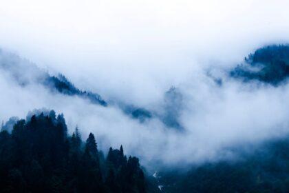 découvrez ayder, une destination enneigée en turquie célèbre pour ses paysages à couper le souffle, ses sources thermales apaisantes et son atmosphère authentique. profitez de la nature et des activités de plein air dans ce charmant village de montagne.