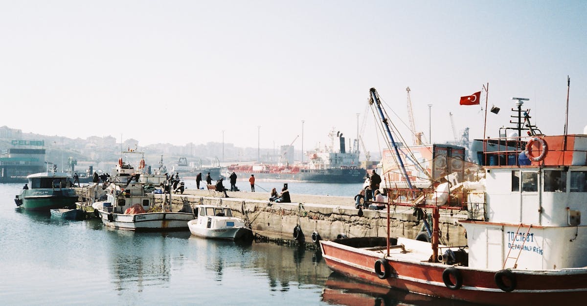découvrez bandirma, une charmante ville portuaire de turquie, célèbre pour son riche patrimoine historique, ses paysages pittoresques et ses plages ensoleillées. explorez ses attractions uniques et profitez de la culture locale dans cette destination incontournable.