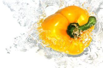 découvrez tout ce qu'il faut savoir sur l'allergie au poivron : symptômes, causes, conseils alimentaires et astuces pour vivre sereinement avec cette allergie. protégez votre santé et apprenez à identifier les déclencheurs avec nos conseils d'experts.