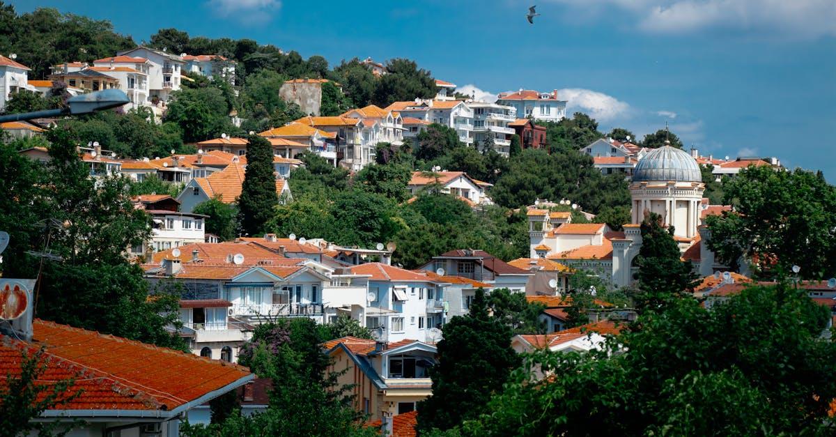 découvrez burgazada, une charmante île turque au sein de la mer de marmara. explorez ses plages paisibles, ses paysages pittoresques et profitez d'une expérience authentique loin de l'agitation urbaine. parfait pour une escapade relaxante ou une aventure en pleine nature.
