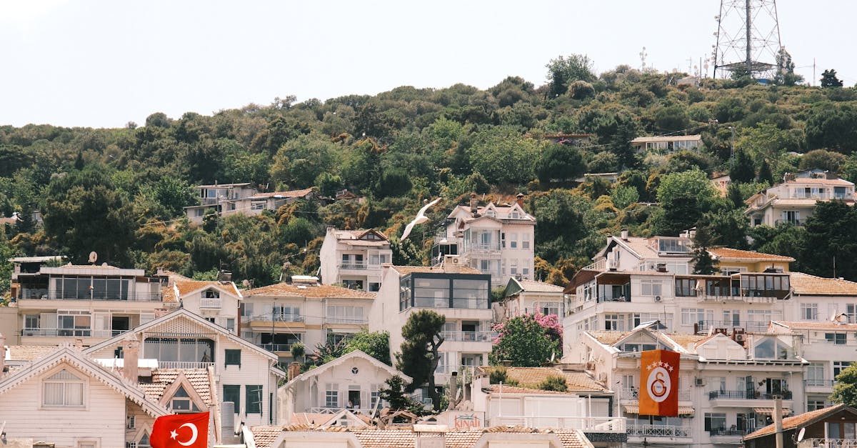 découvrez burgazada, une charmante île turque qui offre des paysages pittoresques, des plages tranquilles et une ambiance paisible. profitez d'activités de plein air, de la cuisine locale délicieuse et d'une évasion relaxante loin de l'agitation urbaine.