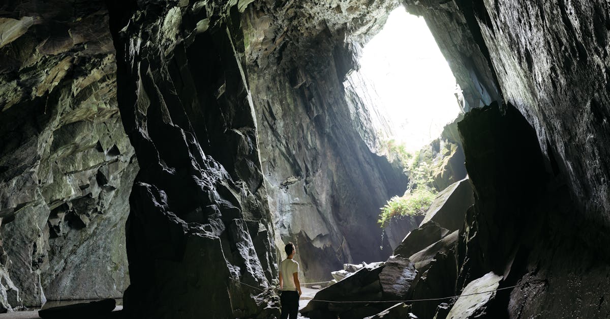 découvrez l'univers fascinant des caves : des espaces de rangement innovants aux caves à vin élégantes, explorez les différents types de caves disponibles pour stocker vos biens, conserver vos bouteilles ou simplement ajouter une touche unique à votre maison.