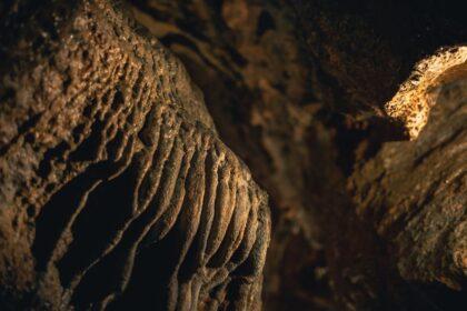 découvrez l'univers fascinant des caves : un espace de détente et de convivialité, où le vin se marie à la gastronomie. explorez nos conseils pour aménager votre cave idéale, sélectionner les meilleurs crus et préserver vos bouteilles dans les meilleures conditions.