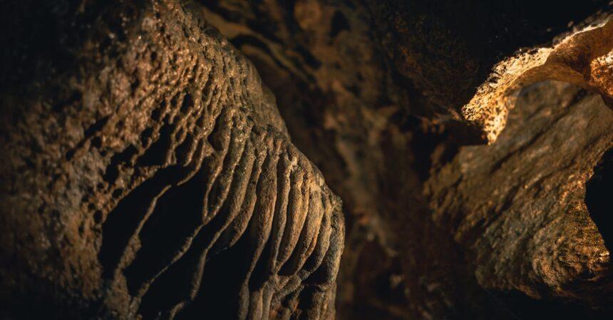 découvrez l'univers fascinant des caves : un espace de détente et de convivialité, où le vin se marie à la gastronomie. explorez nos conseils pour aménager votre cave idéale, sélectionner les meilleurs crus et préserver vos bouteilles dans les meilleures conditions.