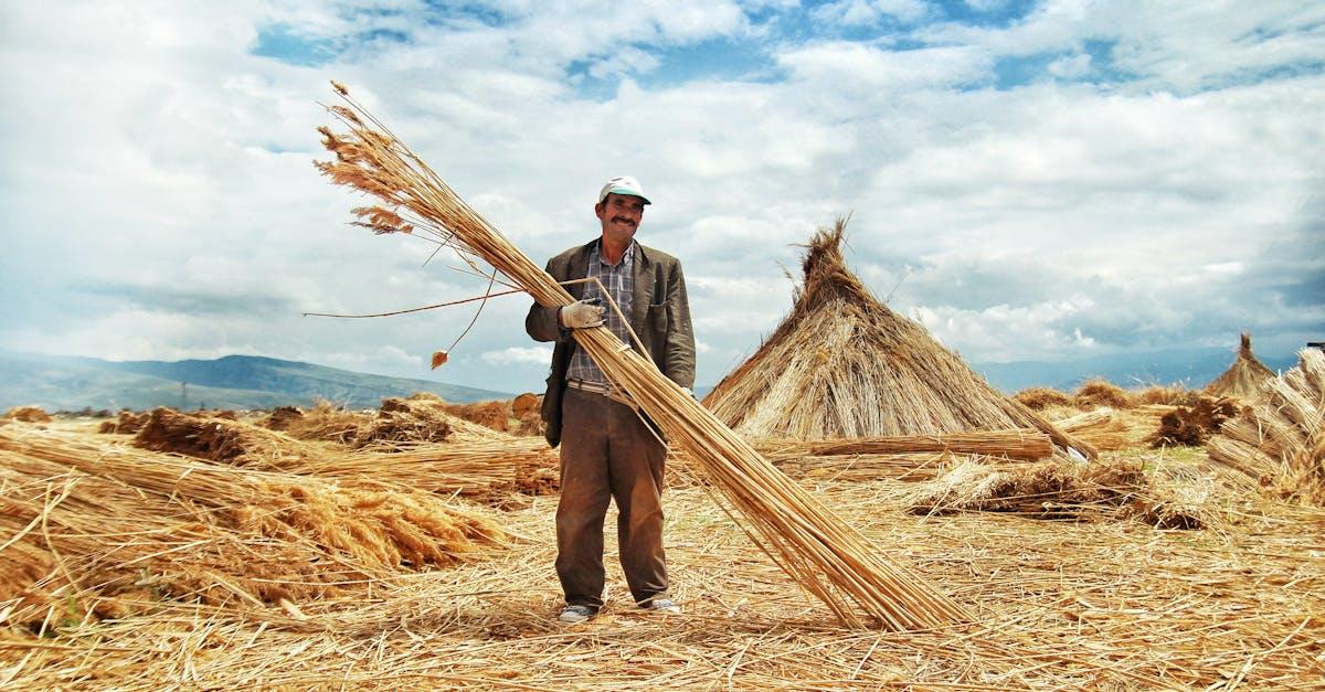 découvrez la beauté et la richesse culturelle de l'anatolie centrale, une région fascinante de la turquie, célèbre pour ses paysages pittoresques, ses sites historiques et sa cuisine savoureuse. explorez ses villes uniques et ses traditions authentiques.