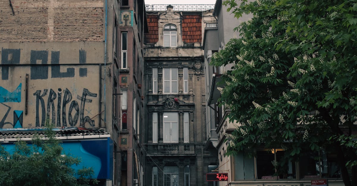 découvrez le çiçek pasajı, un lieu emblématique d'istanbul rempli de fleurs, de plantes et de boutiques artisanales. plongez dans une atmosphère unique où la tradition rencontre la modernité, tout en savourant des spécialités locales dans ses charmants cafés.