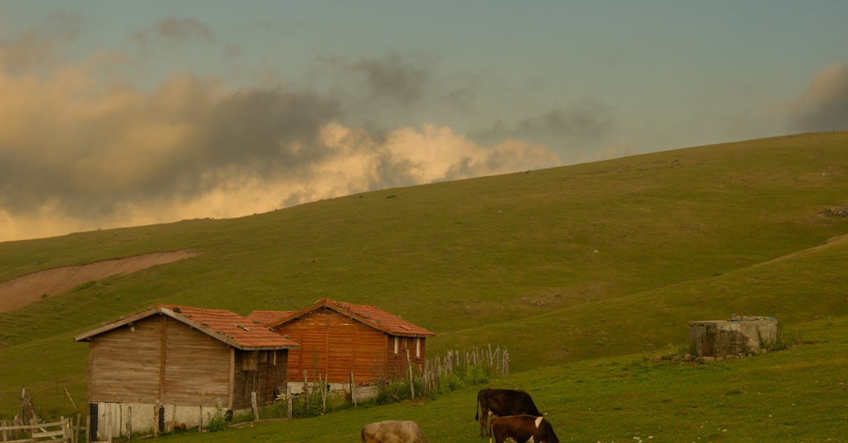 découvrez les deniz houses, un havre de paix offrant des hébergements confortables et des vues imprenables. parfait pour des vacances inoubliables, profitez de l'authenticité et de la beauté naturelle de la région.