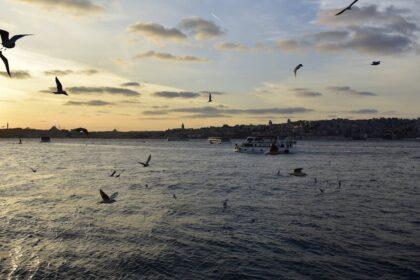 découvrez deniz houses, des hébergements de rêve offrant confort et élégance au cœur d'une nature préservée. idéales pour des escapades en famille ou entre amis, nos maisons vous garantissent une expérience inoubliable.
