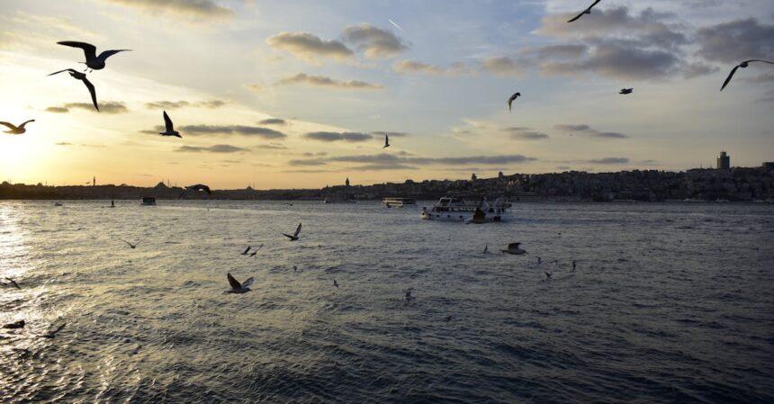 découvrez deniz houses, des hébergements de rêve offrant confort et élégance au cœur d'une nature préservée. idéales pour des escapades en famille ou entre amis, nos maisons vous garantissent une expérience inoubliable.