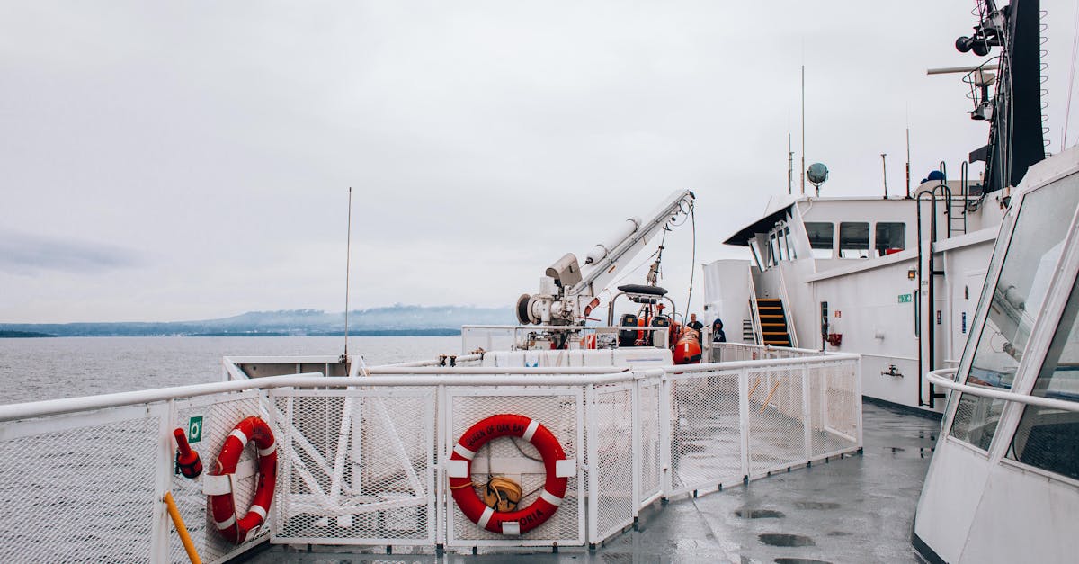 découvrez les ferryboats, ces bateaux polyvalents qui relient les rives et facilitent vos trajets au gré des flots. explorez des destinations pittoresques tout en profitant d'une traversée agréable avec nos services de ferry. parfaits pour les voyageurs, les habitants et les aventuriers !
