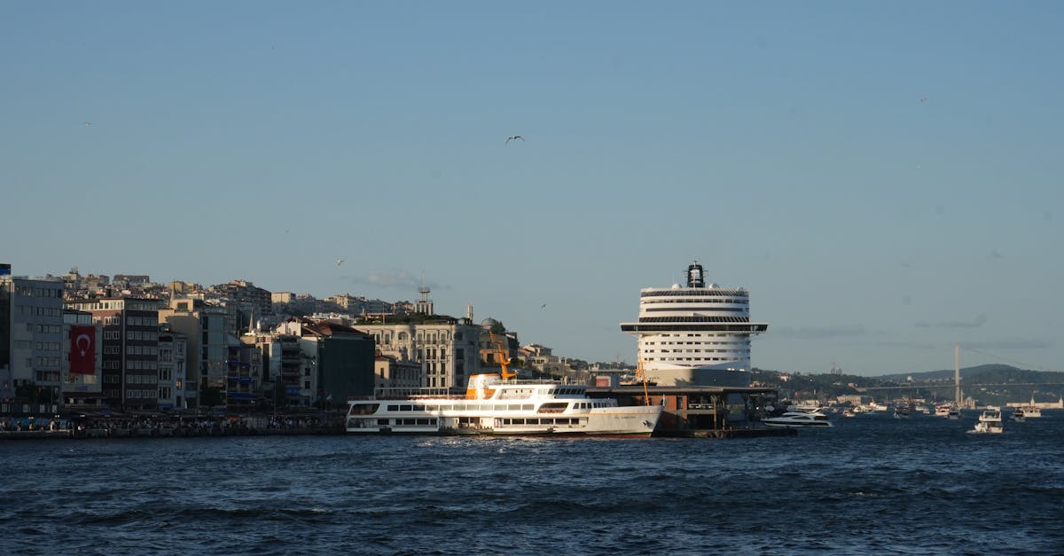 découvrez l'univers des ferryboats, ces navires emblématiques qui relient les rives et offrent des traversées maritimes uniques. explorez les destinations, les horaires et les services à bord pour une expérience de voyage inoubliable.