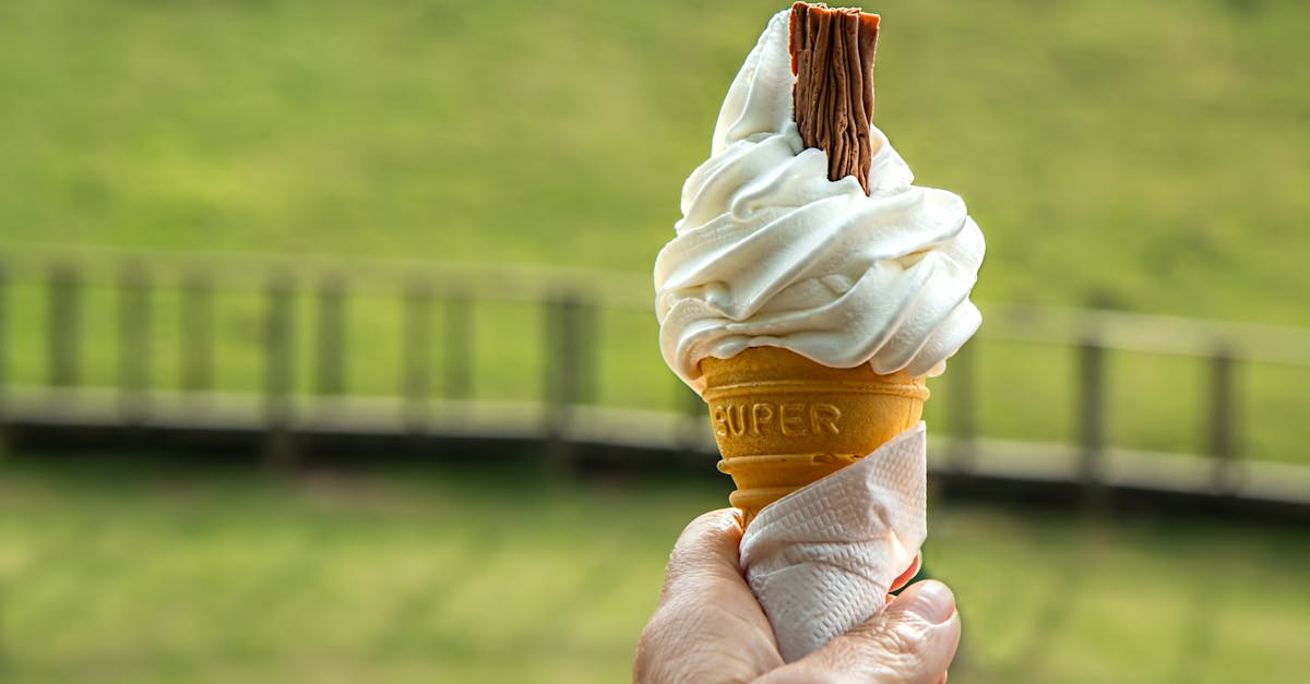découvrez l'univers délicieux des glaces : des saveurs crémeuses et rafraîchissantes qui raviront vos papilles. profitez des recettes maison, des conseils pour les rendre encore plus gourmandes et des astuces pour un été parfait avec des desserts glacés irrésistibles.