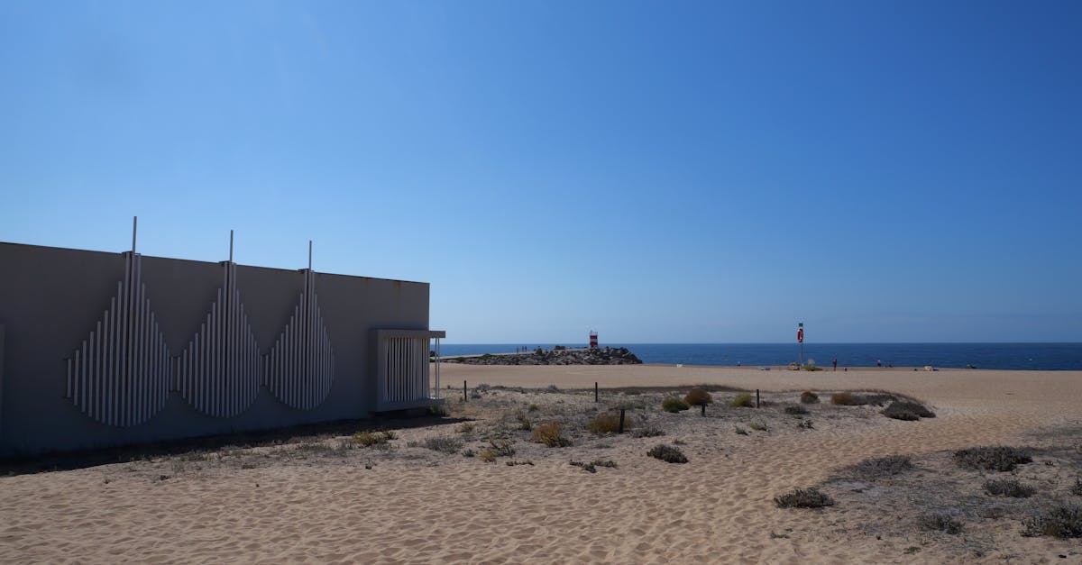 découvrez la plage d'iztuzu, un véritable paradis naturel en turquie, célèbre pour son sable doré, ses eaux cristallines et sa biodiversité unique. propice à la détente et à l'observation des tortues, iztuzu est l'endroit idéal pour les amoureux de la nature et les passionnés de farniente.