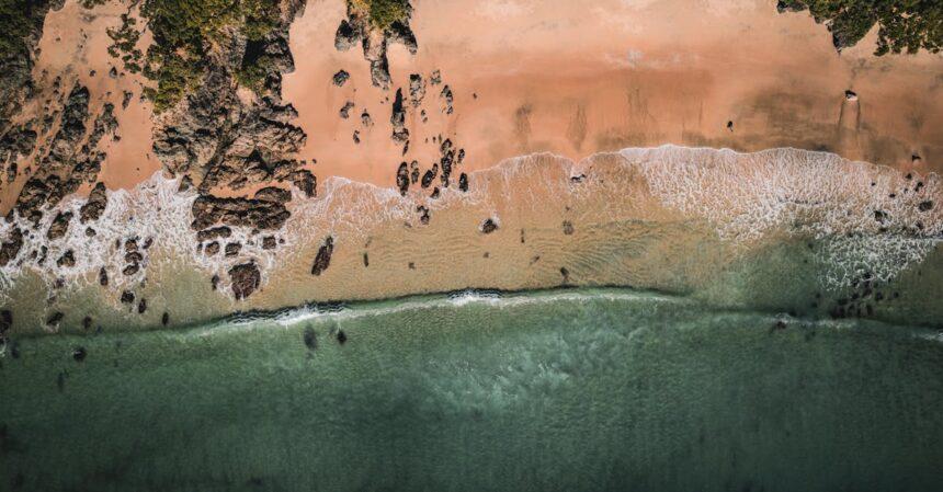 découvrez la plage d'iztuzu, un paradis naturel en turquie, célèbre pour son sable doré, ses eaux cristallines et ses tortues de mer caretta caretta. profitez d'une journée de détente au soleil ou explorez les paysages environnants riches en biodiversité.