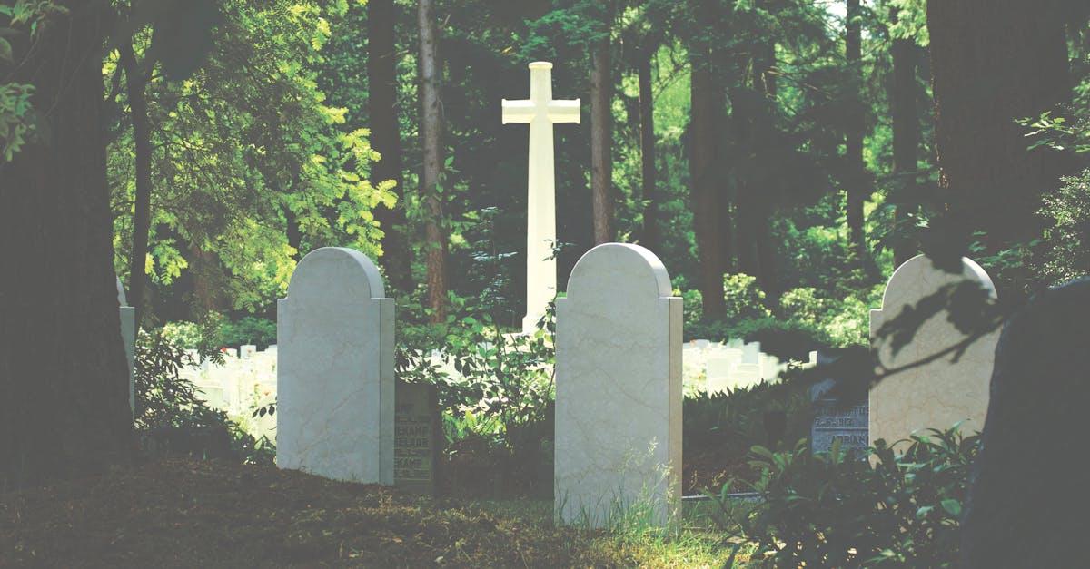 découvrez notre mémorial, un espace dédié à la mémoire et au respect des personnes disparues. plongez dans les histoires émouvantes et honorez les souvenirs à travers des expositions, des événements commémoratifs et des témoignages poignants.