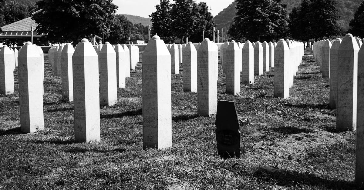 découvrez notre mémorial dédié à la mémoire et à la réflexion, un espace pour honorer les souvenirs et célébrer les vies. rejoignez-nous pour des événements commémoratifs, des expositions et des moments de recueillement.