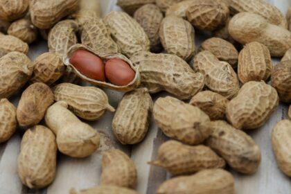 découvrez tout sur l'allergie au glutamate monosodique, ses symptômes, causes et conseils pour l'éviter. informez-vous sur les alternatives alimentaires et apprenez à gérer cette allergie au quotidien.