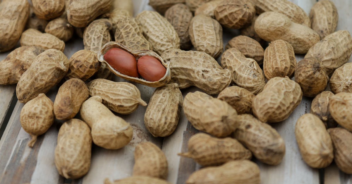 découvrez tout ce qu'il faut savoir sur les allergies aux arachides, de leur identification aux traitements, en passant par des conseils pour éviter les réactions allergiques graves. protégez-vous et informez-vous sur ce sujet crucial pour la santé.