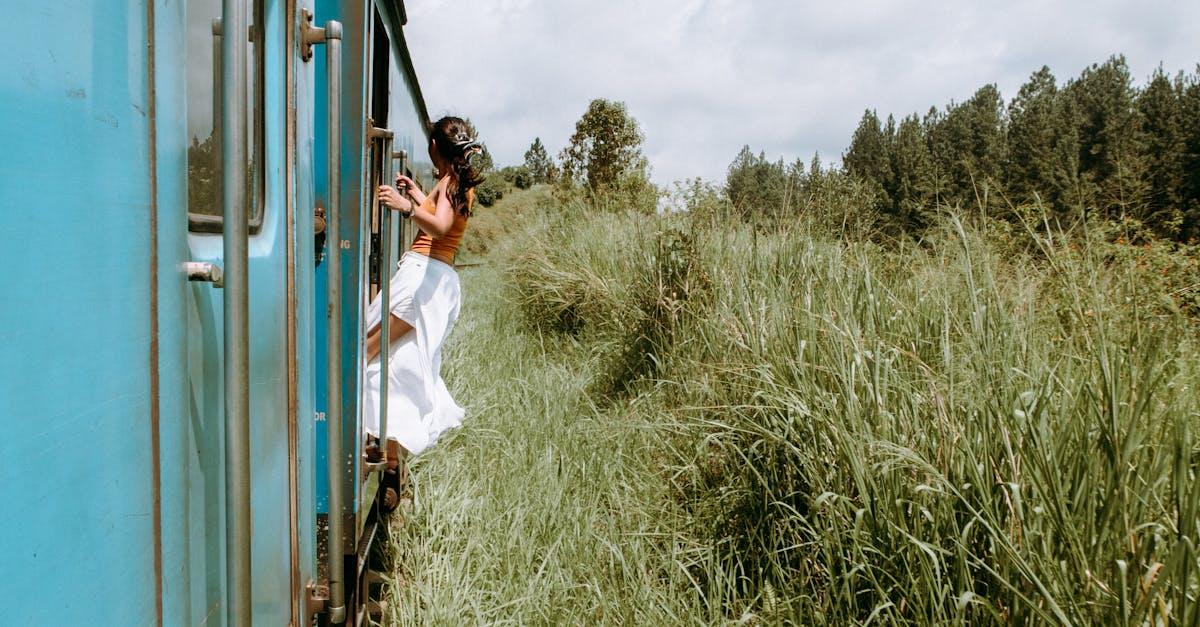 découvrez le trans-asie, un voyage inoubliable à travers les paysages enchanteurs de l'asie. profitez d'un confort exceptionnel à bord de ce train mythique tout en explorant des cultures diverses et en admirant des panoramas spectaculaires. embarquez pour une aventure unique qui relie des destinations fascinantes.