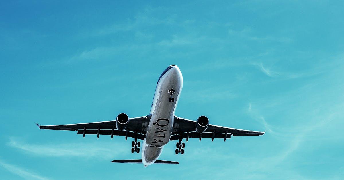 découvrez l'univers du transport : solutions innovantes, services variés et astuces pour faciliter vos déplacements. que ce soit pour le transport de marchandises ou de passagers, explorez les options adaptées à vos besoins.